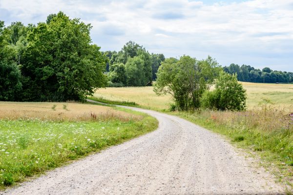 Cost of Stone Driveway Repair in Fenton