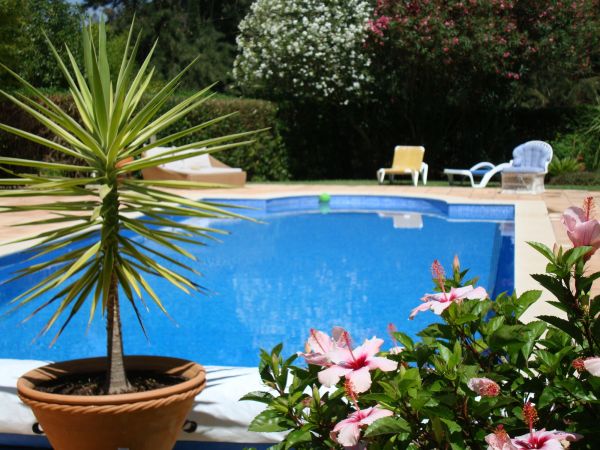 Cost of Pool Terrace Renovation in Fenton